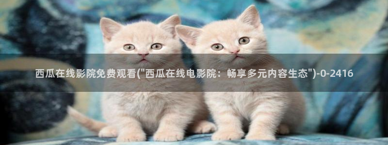 韩国电影西瓜影院