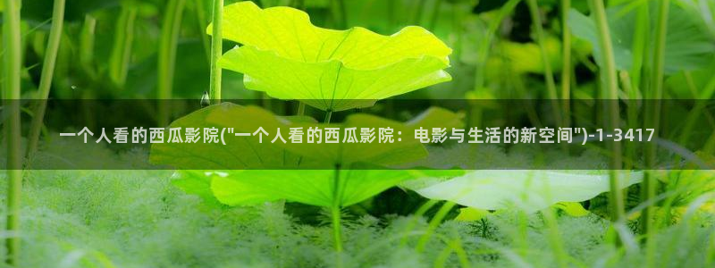 西瓜影院在线观看理论