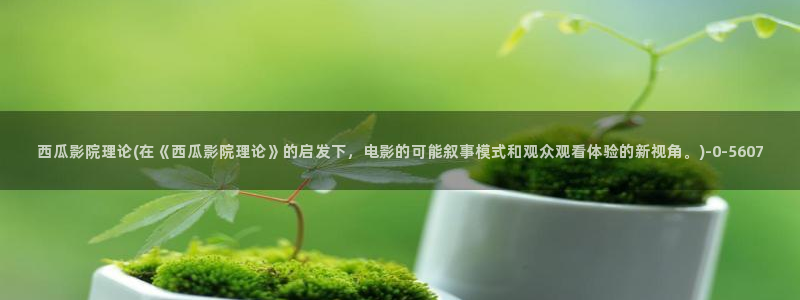 西瓜免费影视剧