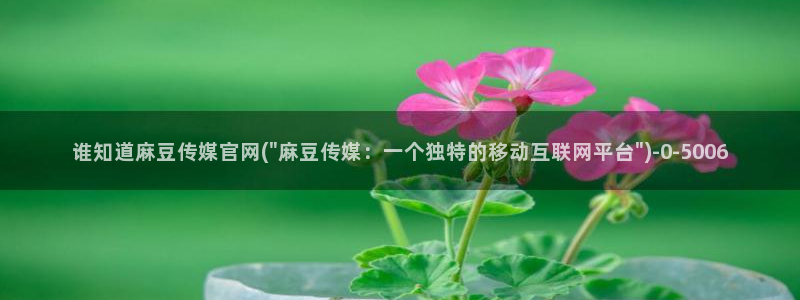 麻豆入口高清：谁知道麻豆传媒官网(\