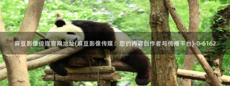麻豆视频短片：麻豆影像传媒官网地址(麻豆影像传媒