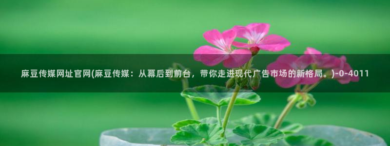 麻豆精选完整版：麻豆传媒网址官网(麻豆传媒：从幕后到