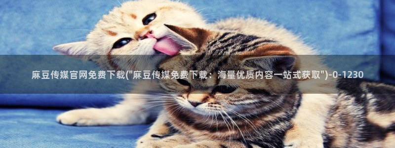 麻豆 官方在线看