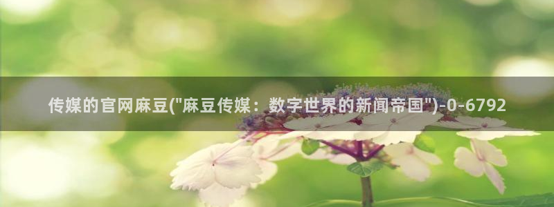 麻豆视频 专区页面