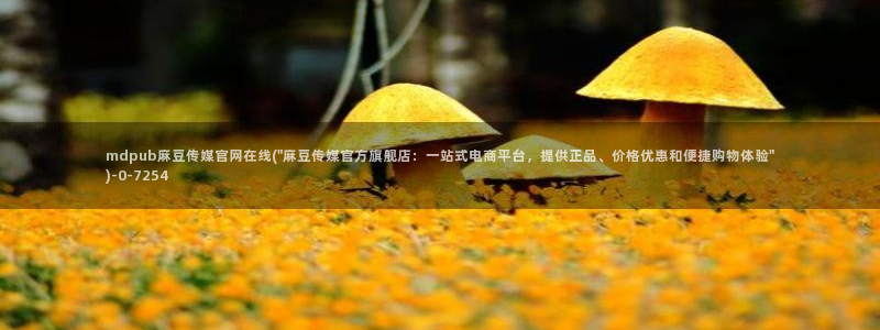 麻豆视频 官方推荐