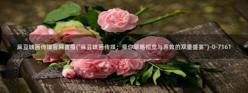 麻豆下载资源