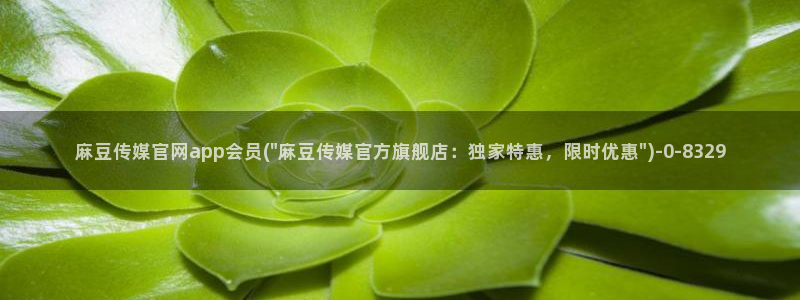 麻豆视频 推荐整理