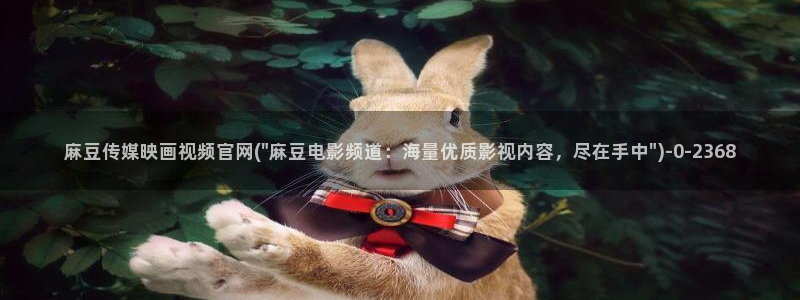 麻豆视频 完整版资源