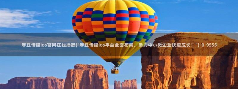 麻豆 入口视频
