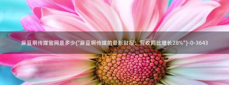 麻豆在线看导航