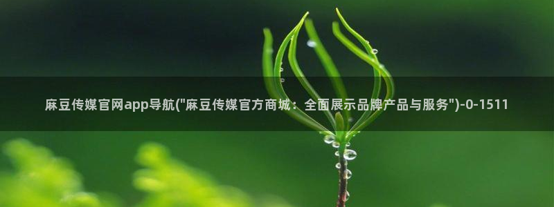 麻豆 高清页面：麻豆传媒官网app导航(\