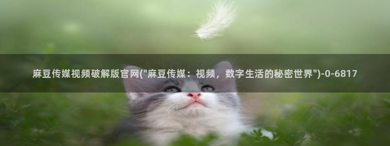 麻豆视频系列最新