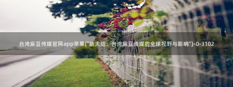 麻豆视频短片