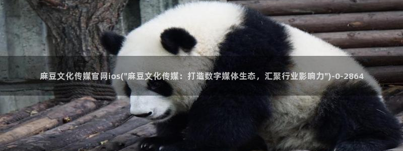 麻豆高清导航：麻豆文化传媒官网ios(\