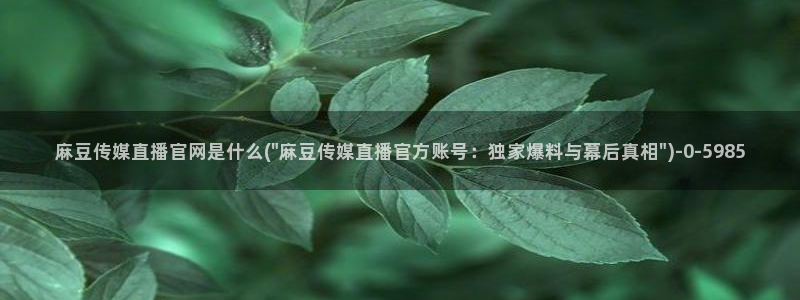 麻豆 合集
