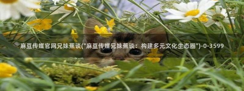 麻豆合集完整版