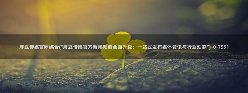 麻豆视频 更新视频：麻豆传媒官网综合(\