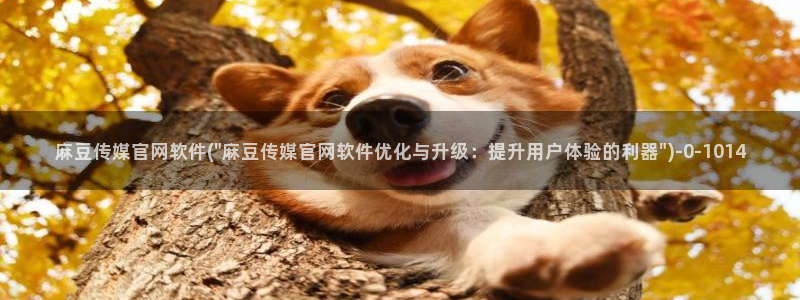 麻豆视频 官方导航