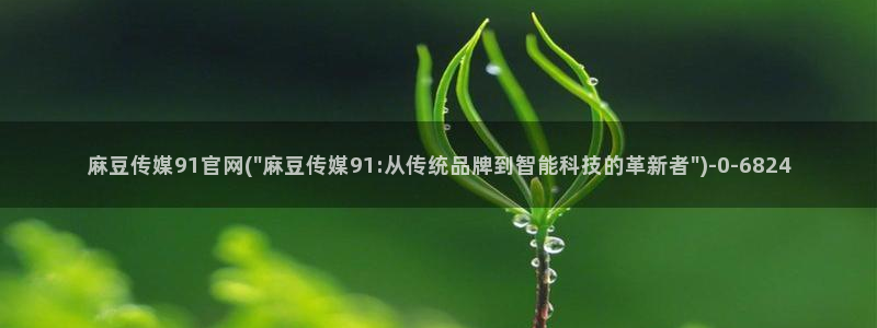 麻豆视频 在线看专区
