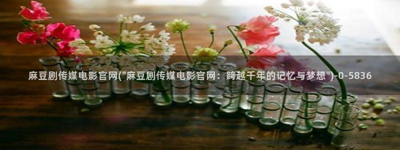 麻豆 完整版推荐：麻豆剧传媒电影官网(\